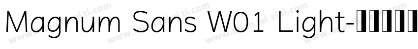 Magnum Sans W01 Light字体转换